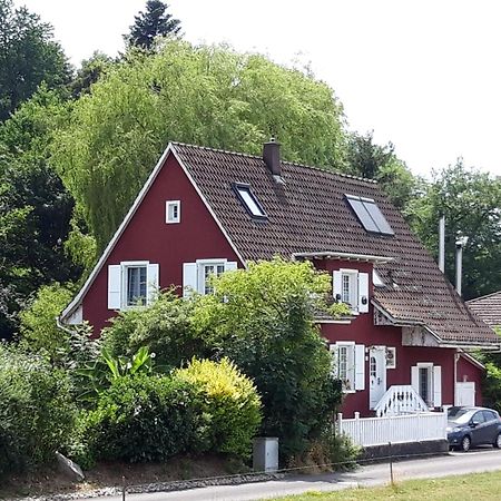 Villa Kunterbunt Harkingen Exterior photo